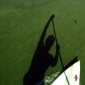 berlin sup marathon